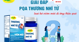 Giải đáp 10 câu hỏi về PQA Thương Nhĩ Tử - hỗ trợ dứt điểm viêm mũi dị ứng